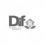 Agencia de marketing digital en México